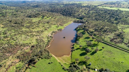 Dronebillede af Pangea Elefantreservat