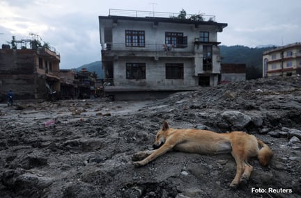 Reuters Nepal Floods 2026