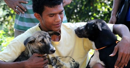 Mand og hunde i Bali