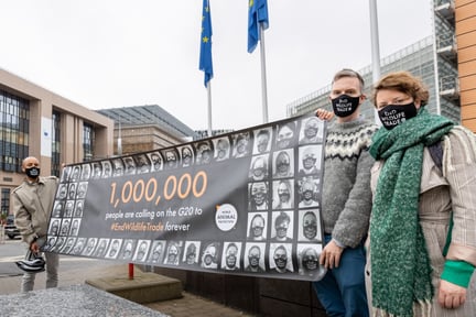 1 mio. overskrifter overrakt til EU-Kommissionen mod den globale handel med vilde dyr