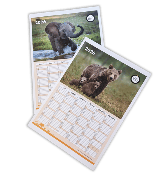 Kalender