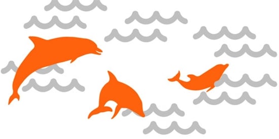 Dolphin factoid I World Animal Protection