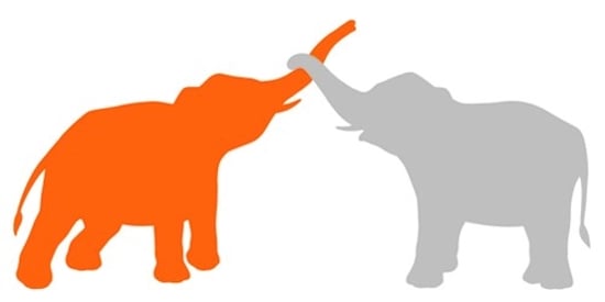 Elephant factoid I World Animal protection