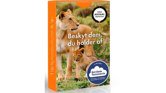 Samtalekort