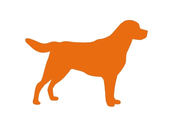Ikon af hund