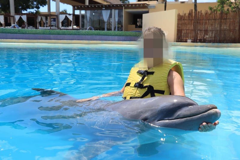 Delfinattraktion i Mexico