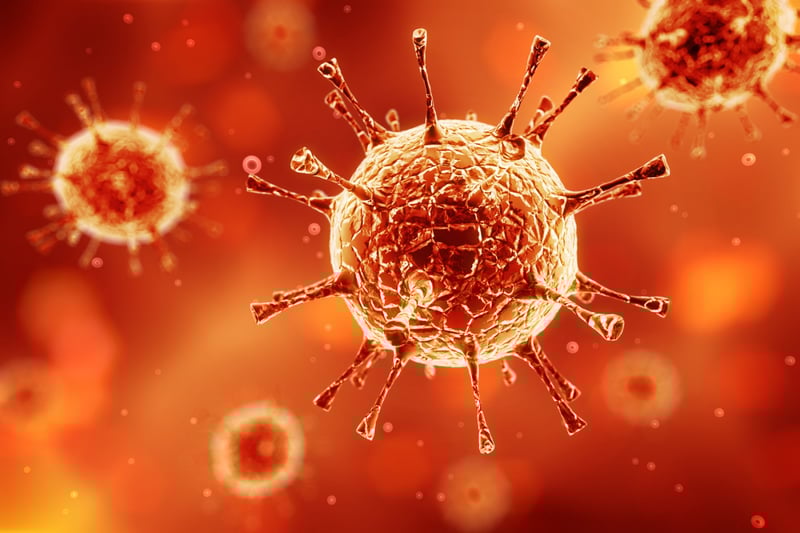 Coronavirus and natural disasters