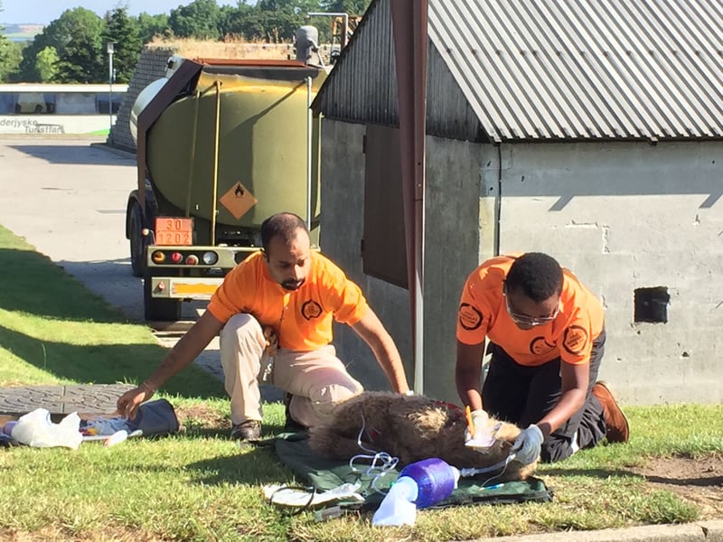 Tre hunde skulle reddes ud af et brændende højhus, da vores katastrofeteam besøgte Korsør den 23. juli. Der var dog ikke tale om rigtige hunde, men derimod om tøjhunde, og branden var simuleret.