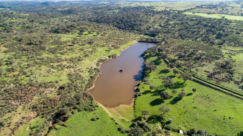 Dronebillede af Pangea Elefantreservat