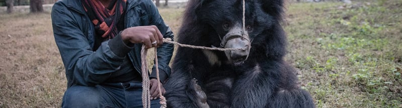 Rangila rescue