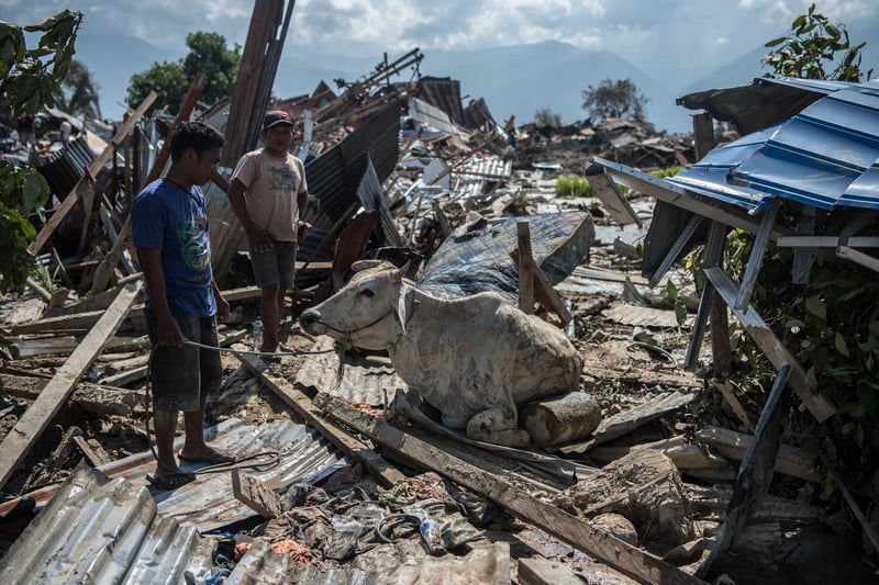 Foto: CARL COURT / GETTY IMAGES ASIAPAC / Getty Images/AFP