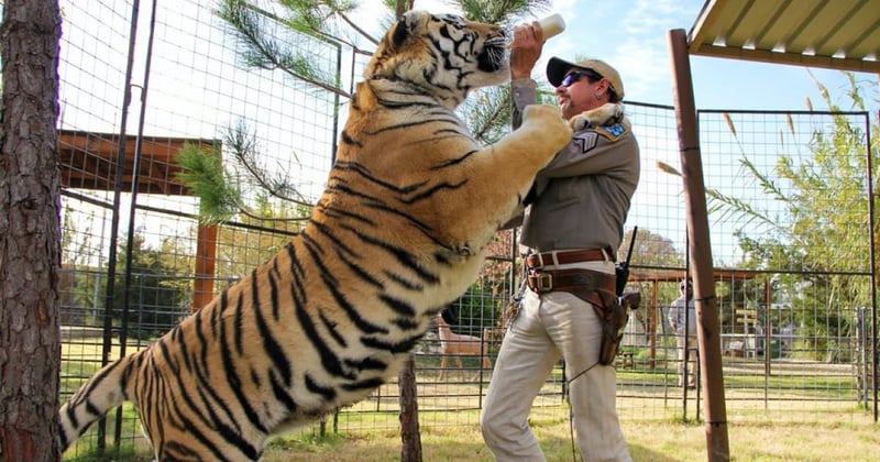 Reklamefoto fra Tiger King. Foto: Netflix