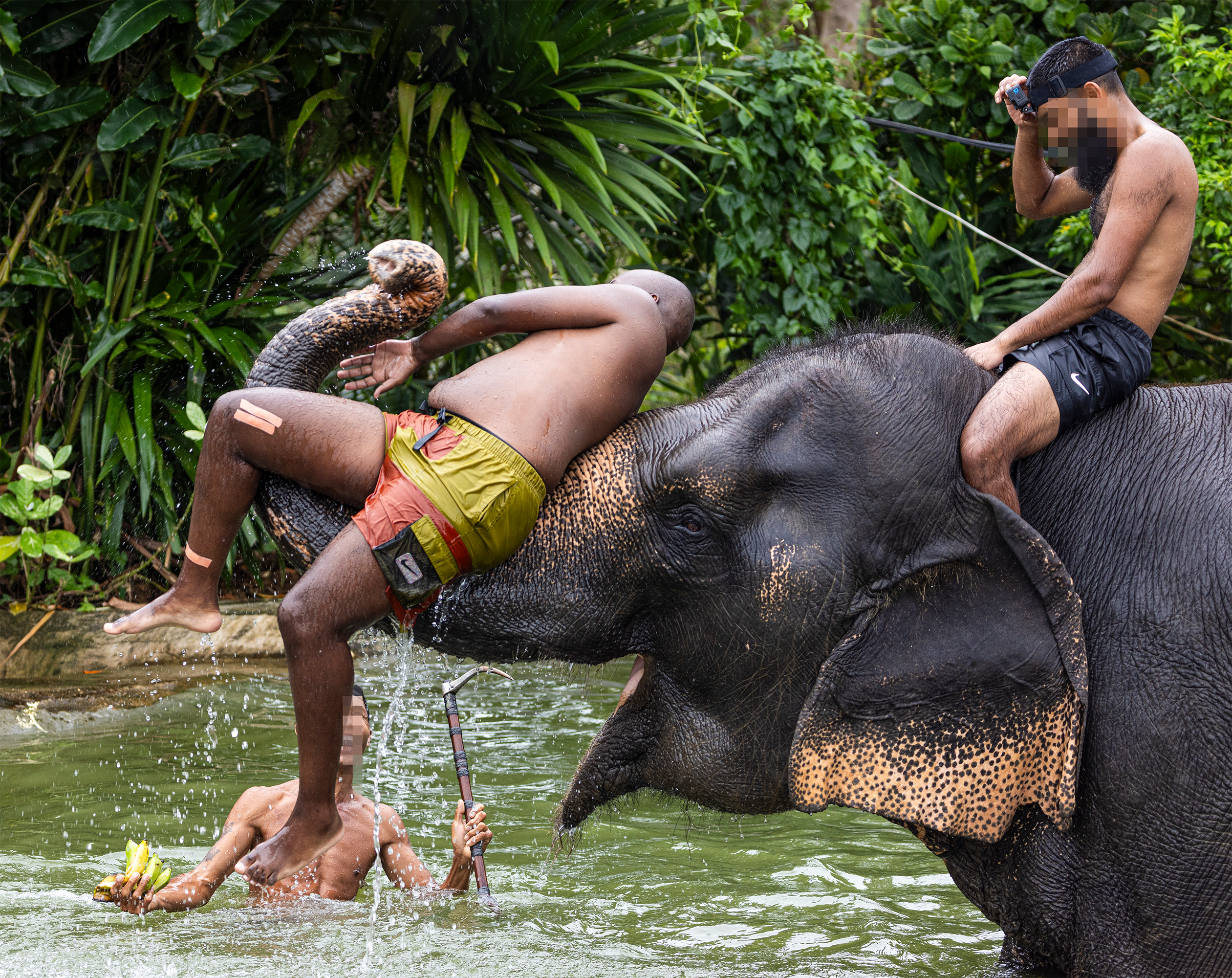 Turister bader med og klatrer rundt på elefant